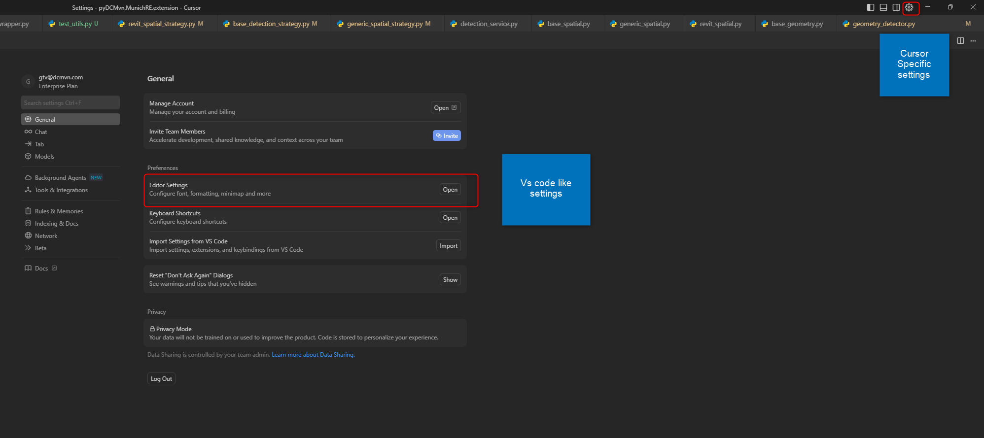 Cursor Specific Settings